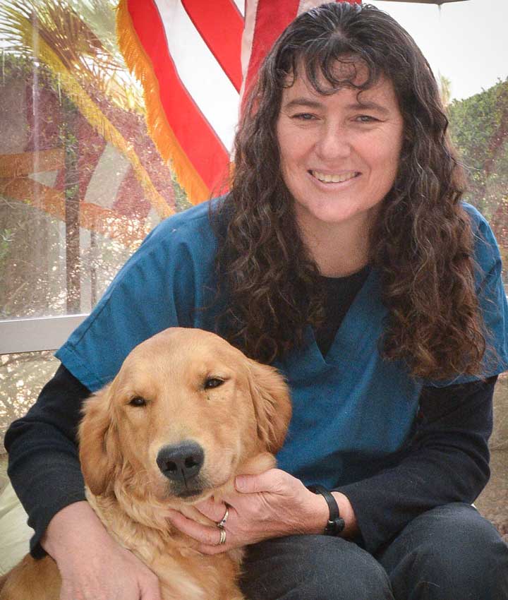 Dr. Sharon Gorman, DVM | Creature Comforts Animal Hospital
